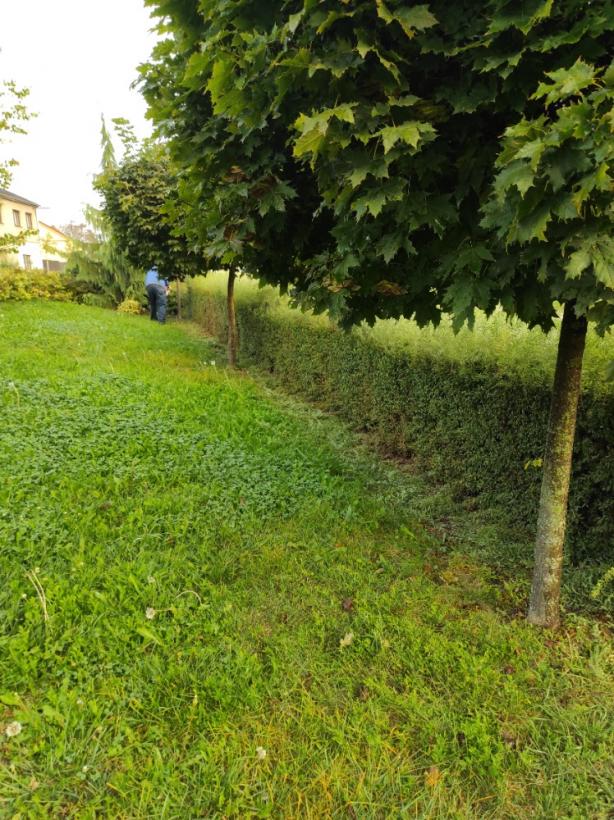Obrázek 2